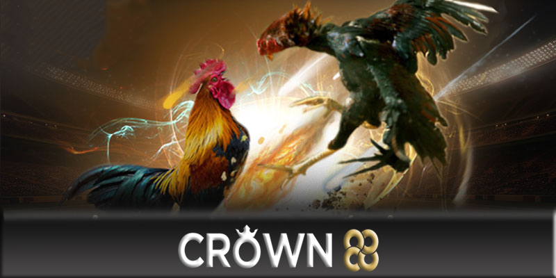 Các tính năng nổi bật của đá gà Crown88